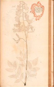 n496_w1150