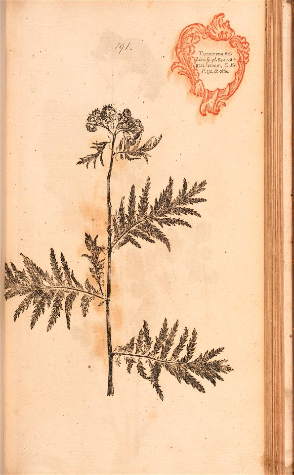n406_w1150