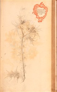 n376_w1150