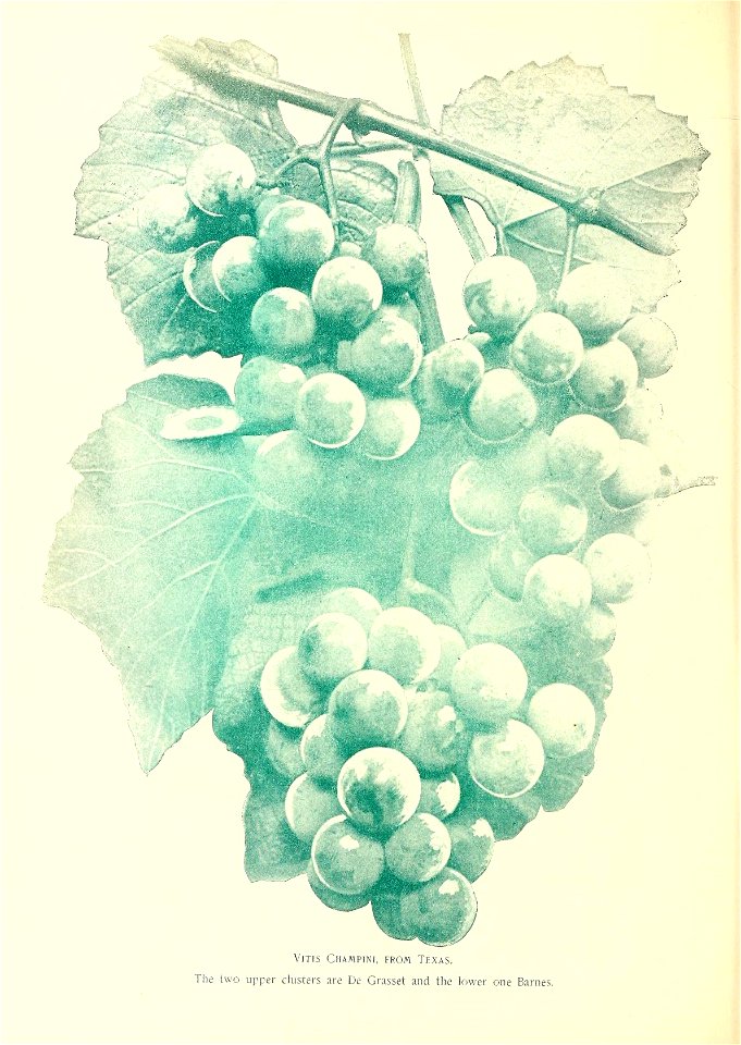 n613_w1150