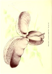 n151_w1150