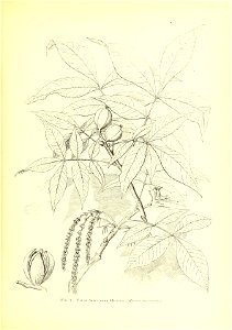 n416_w1150