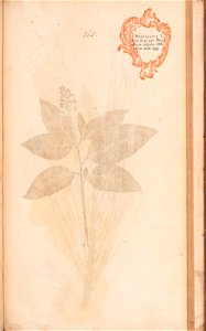 n554_w1150