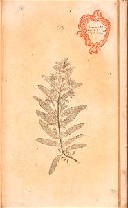 n582_w1150