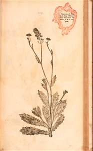 n462_w1150