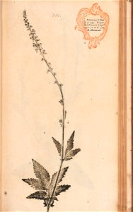 n432_w1150