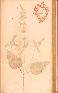 n402_w1150