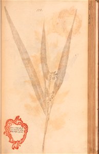 n280_w1150