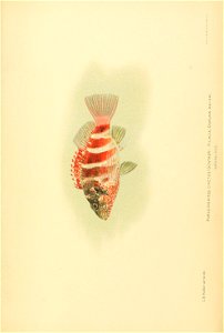 n874_w1150