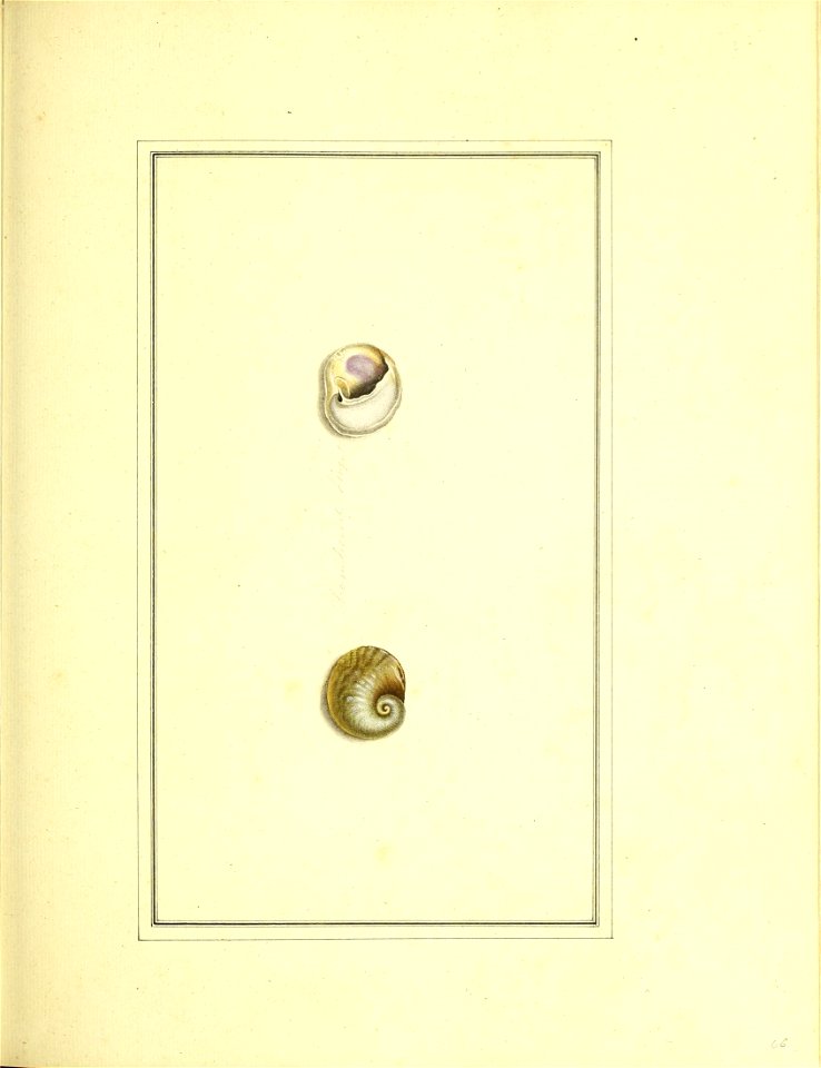 n172_w1150