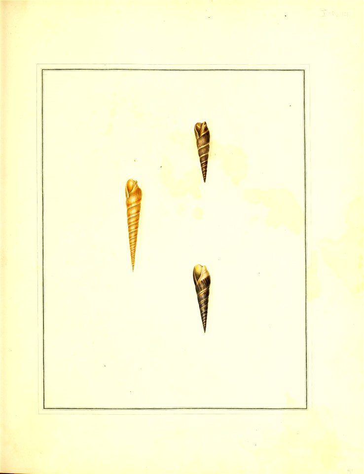 n128_w1150