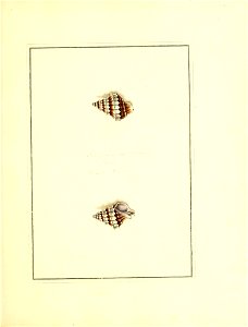 n16_w1150