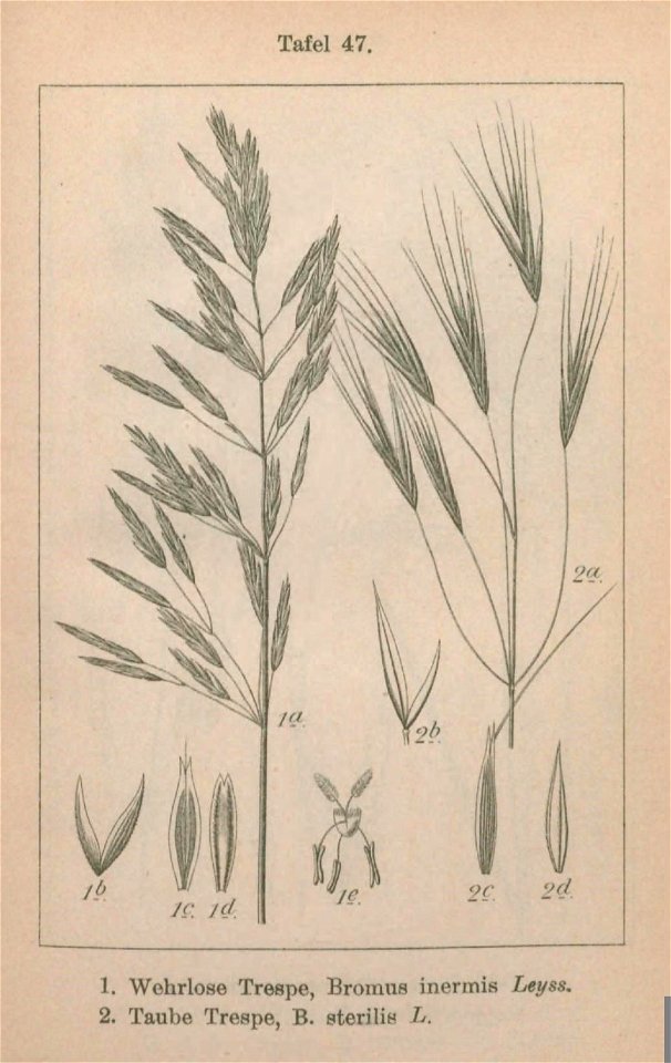 n222_w1150