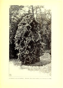 n698_w1150