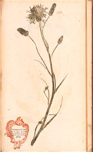 n594_w1150