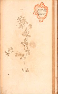 n534_w1150