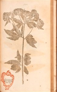 n504_w1150
