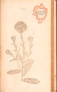 n474_w1150