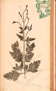 n414_w1150