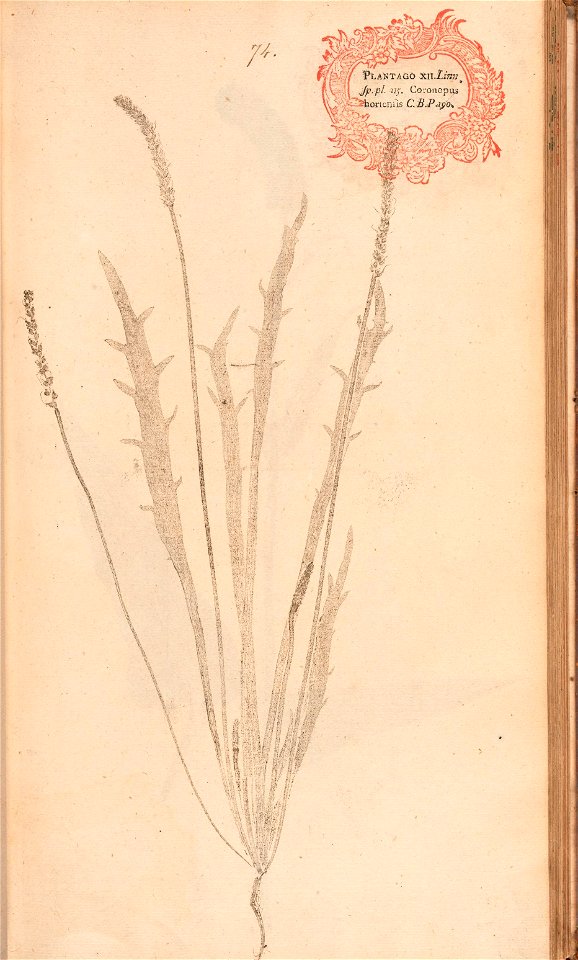 n172_w1150