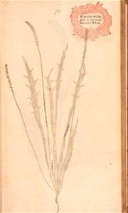 n172_w1150