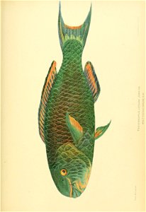 n826_w1150