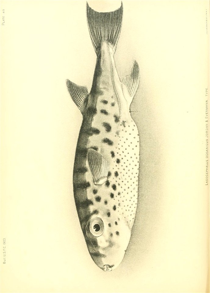 n557_w1150