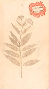 n50_w1150