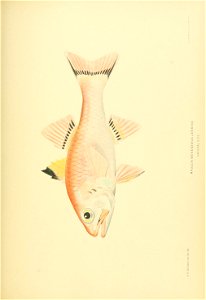 n764_w1150