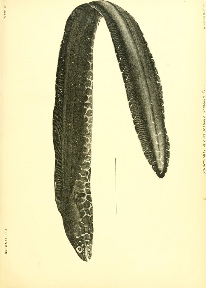 n172_w1150