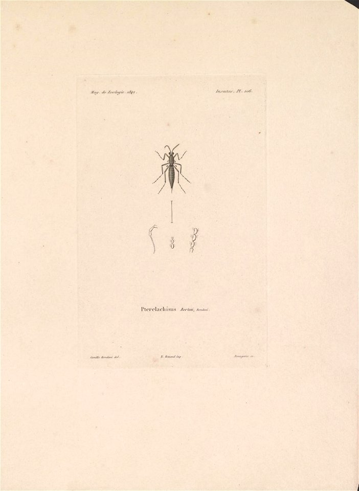 n252_w1150