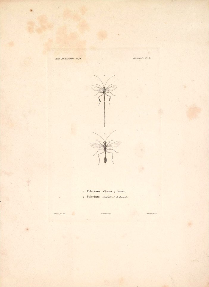 n140_w1150