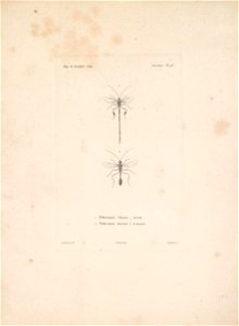 n140_w1150