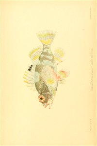 n882_w1150