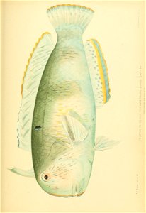 n822_w1150