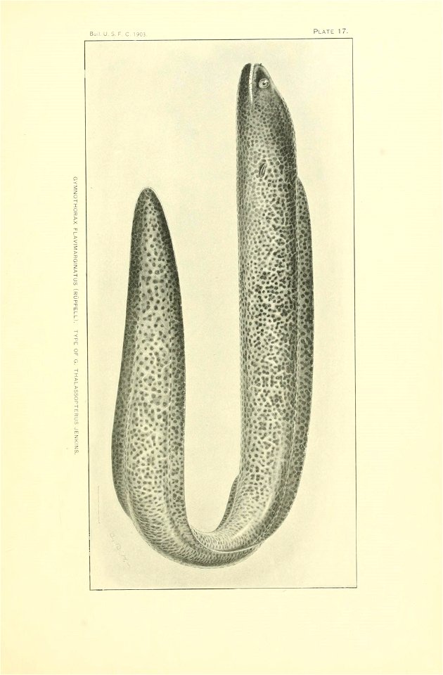 n166_w1150