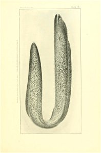 n166_w1150