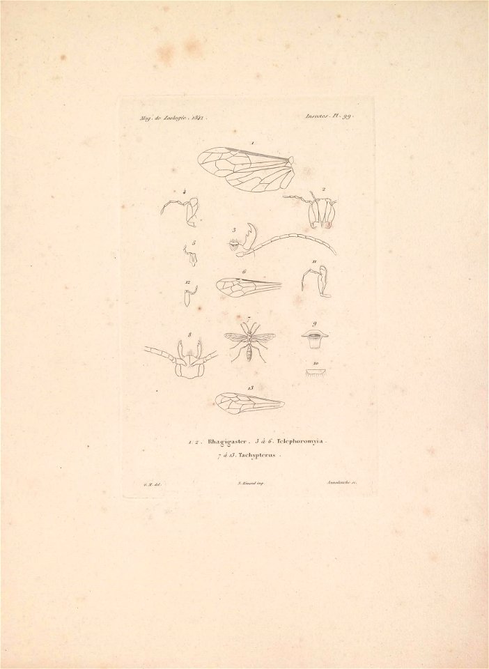 n192_w1150