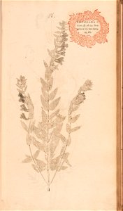 n196_w1150