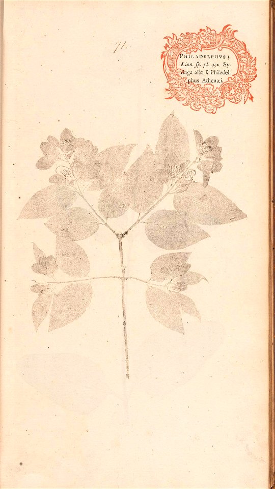 n166_w1150