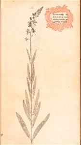 n136_w1150