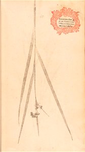 n106_w1150