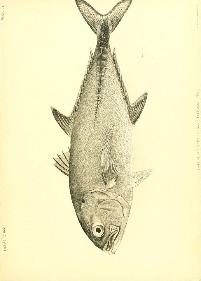 n286_w1150