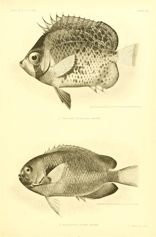 n500_w1150