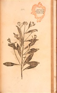 n524_w1150