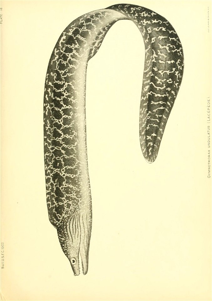 n164_w1150