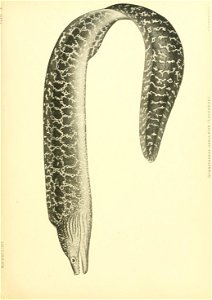 n164_w1150