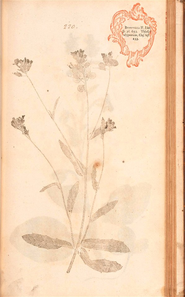 n464_w1150