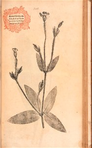 n434_w1150