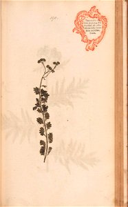 n404_w1150